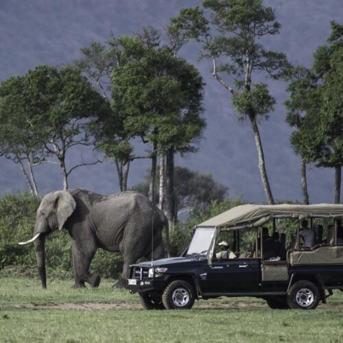 🦁 3-Days Amboseli Safari by Road from Nairobi