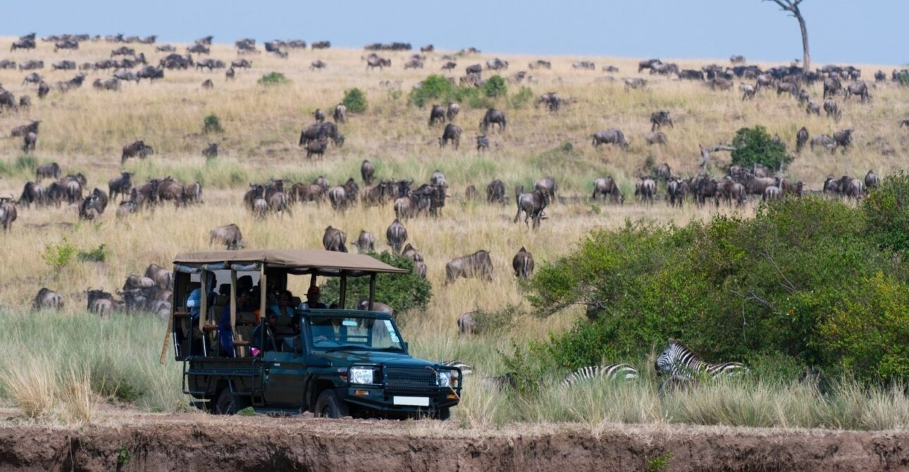 An Unforgettable 12-Day Kenyan Safari with Serene Tolle Tours: A Journey Beyond Expectations