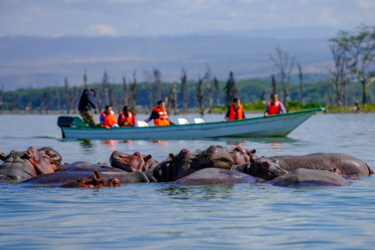 Lake-Naivasha-Wildlife-7